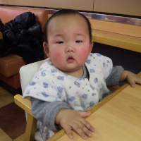 作家物灰皿 作家物灰皿